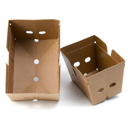 Corrugated tray shippers