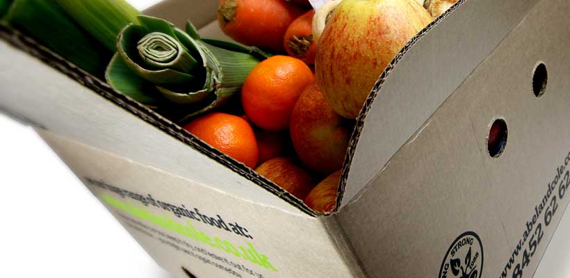 Biodegradable cardboard packaging holding a selection of fresh produce