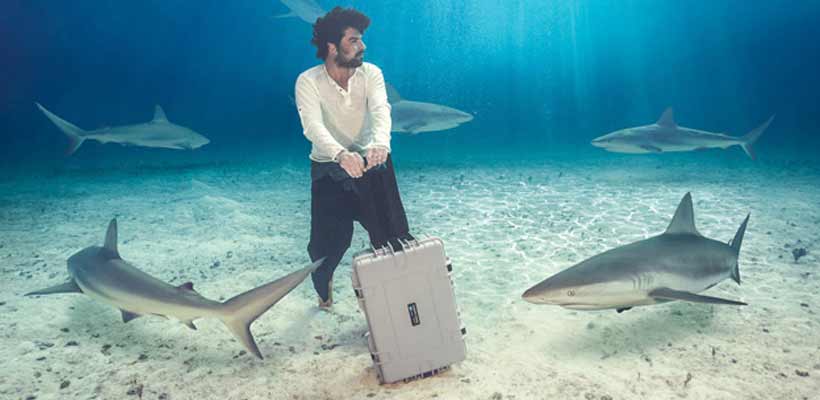 B&W Outdoor cases A person holding a B&W case underwater, surrounded by sharks
