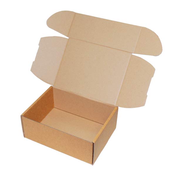 Cardboard mailer