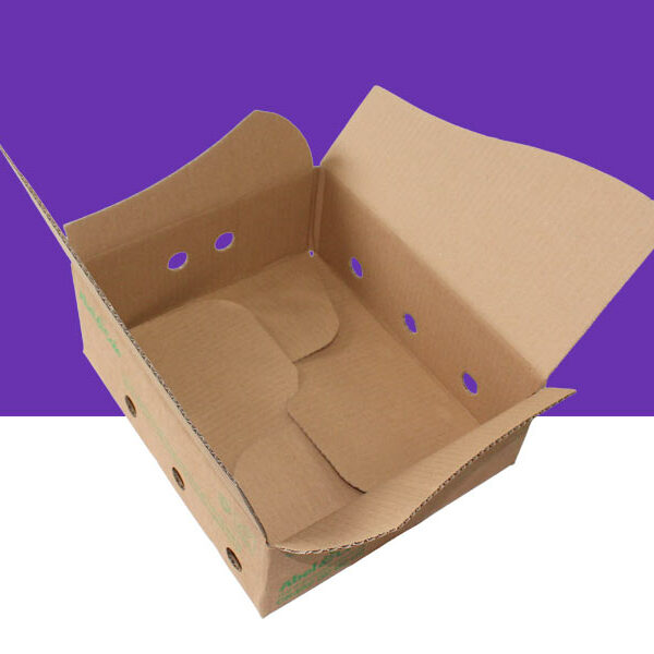 Crash lock boxes