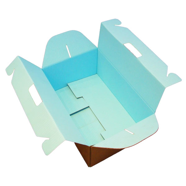 Printed crash lock boxes Printed crash lock boxes