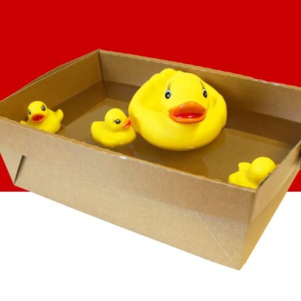 Liquiguard waterproof cardboard A Liquiguard waterproof cardboard tray containing water and rubber ducks