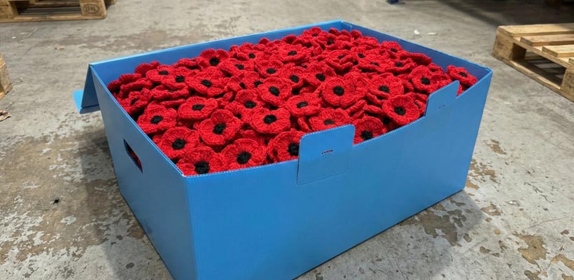 One of teh Correx boxes loaded with knitted poppies, ready to be put into storage.