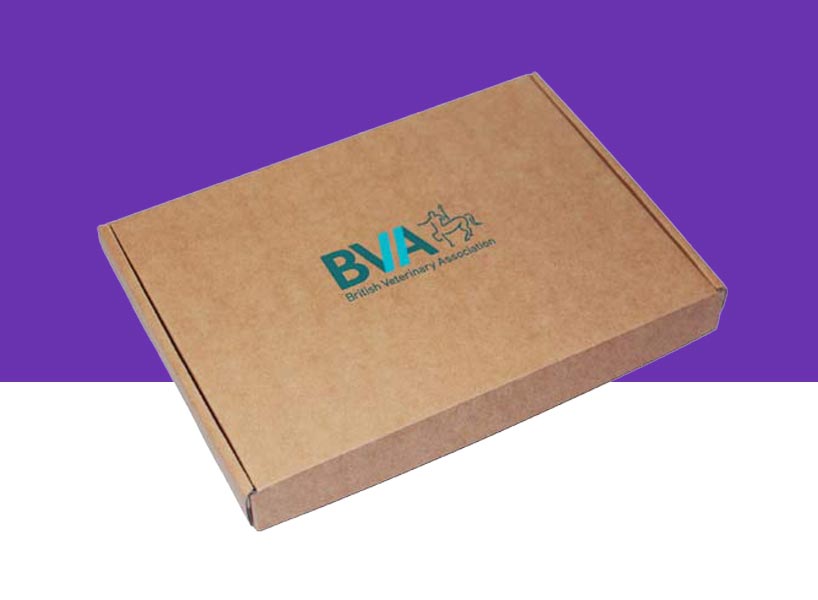 Printed cardboard letterbox packaging