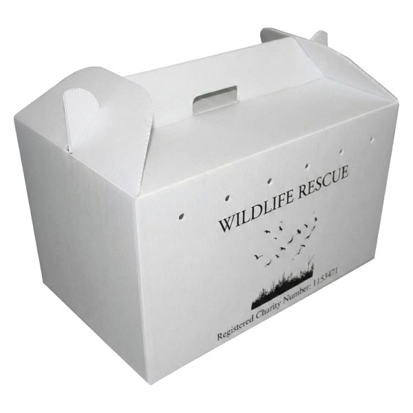 Animal carrier boxes