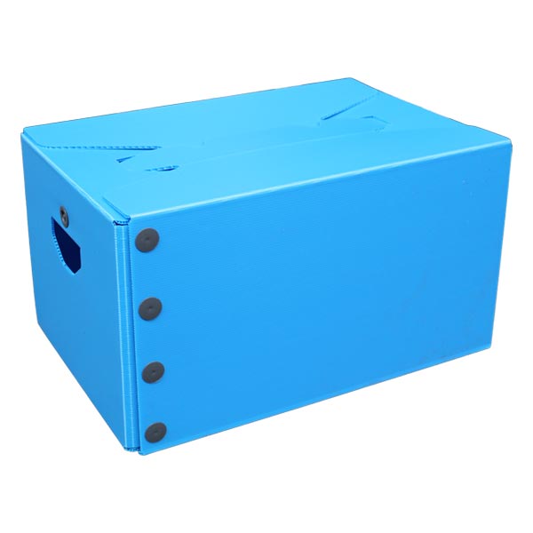 Custom plastic shipping boxes