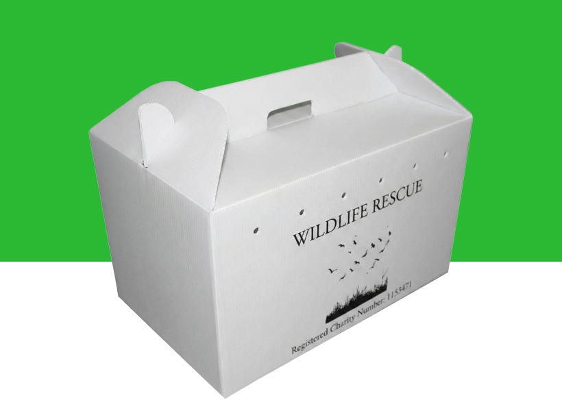 Plastic carrier boxes